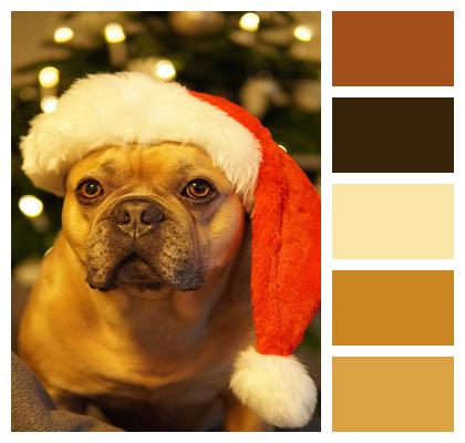 French Bulldog Christmas Dog Image